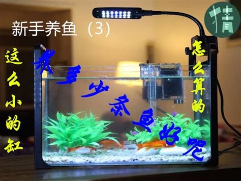 魚缸 魚數量|計算魚缸魚量神器